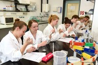 Schulferien im Labor: Einblicke in die Biotechnologie
