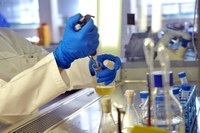 Neues Labor: BELANO medical baut Mikrobiom-Forschung aus