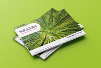 Paragon veröffentlicht ersten Nachhaltigkeitsbericht: “Sustainably Connected“  