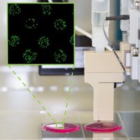 VDI-Expertenforum „BioPrinting in der Medizintechnik”