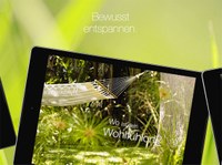 wdv-Gruppe entwickelt „meine ich-Zeit“-App für AOK